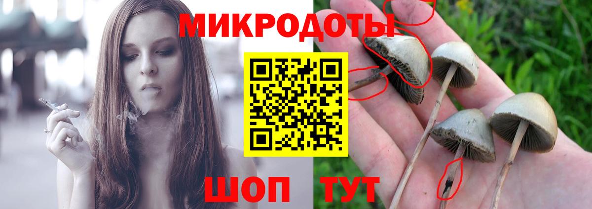 Лабинск  Галлюциногенные грибы Psilocybine cubensis  Вход с VPN 